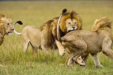 《守望先锋2》LE SSERAFIM女团联动预告 新皮肤11月2日上线